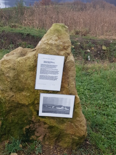 20201122_125333.jpg