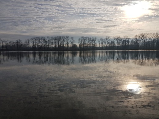 20201122_132354.jpg