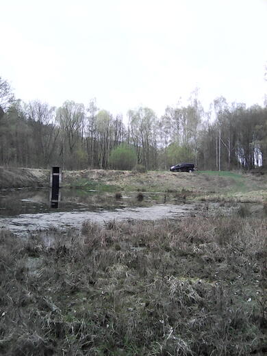 IMG00269.jpg