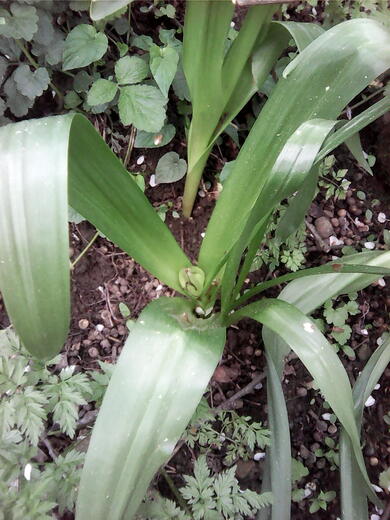 IMG00401.jpg