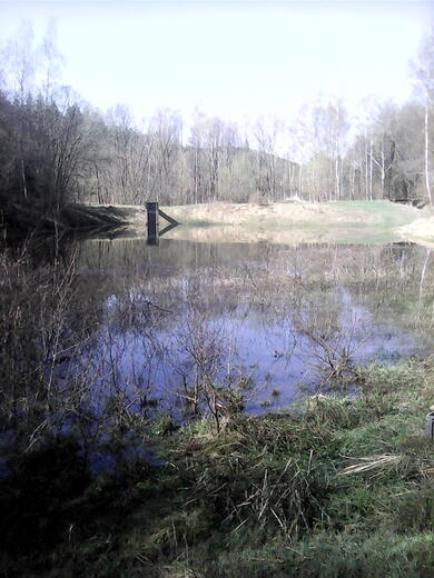 IMG01568.jpg